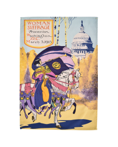 Washington DC Suffrage tea towel
