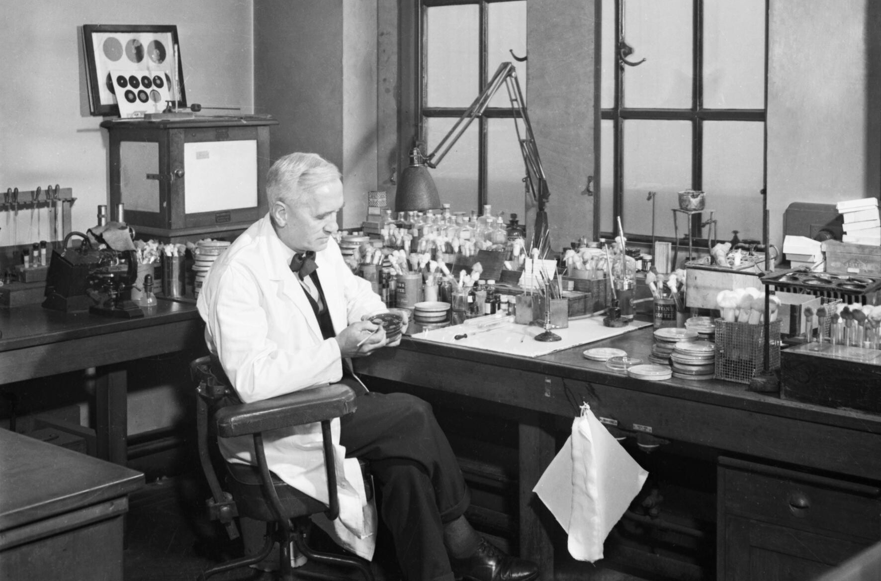 Alexander Fleming in his Laboratory